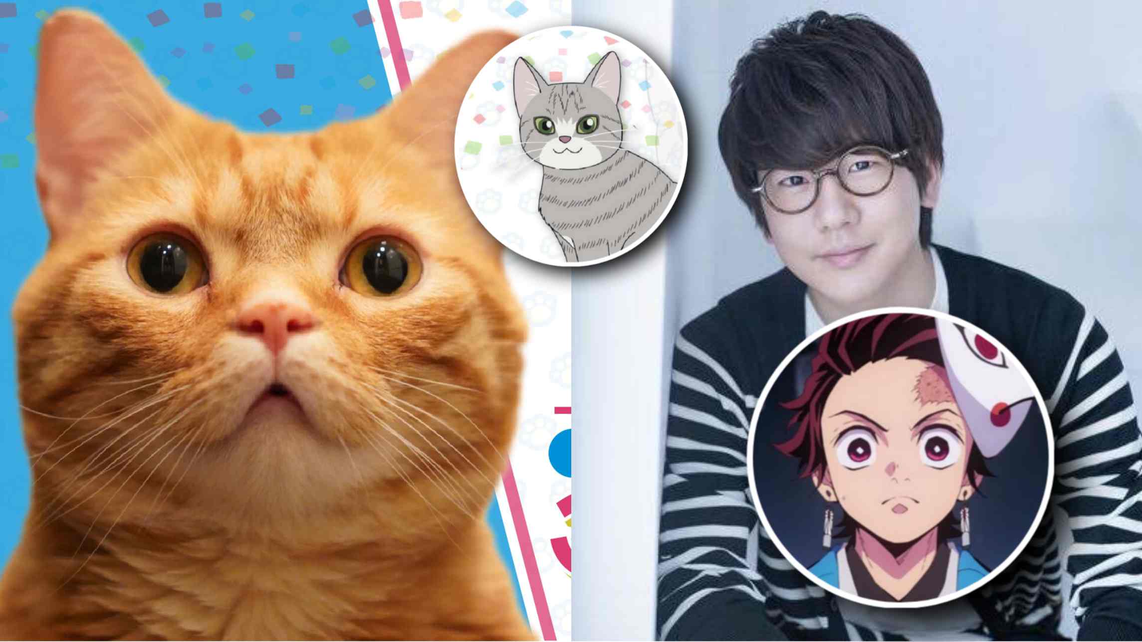 Natsuki Hanae's cat