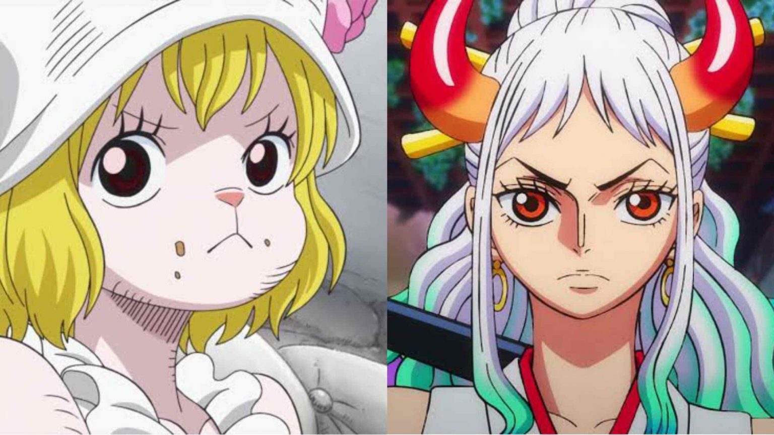 One Piece chapter 1051 11th Member of Straw Hat Crew