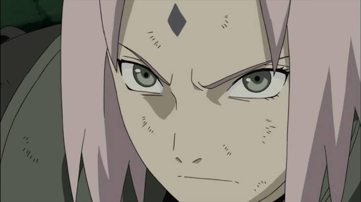 Sakura against rumbling