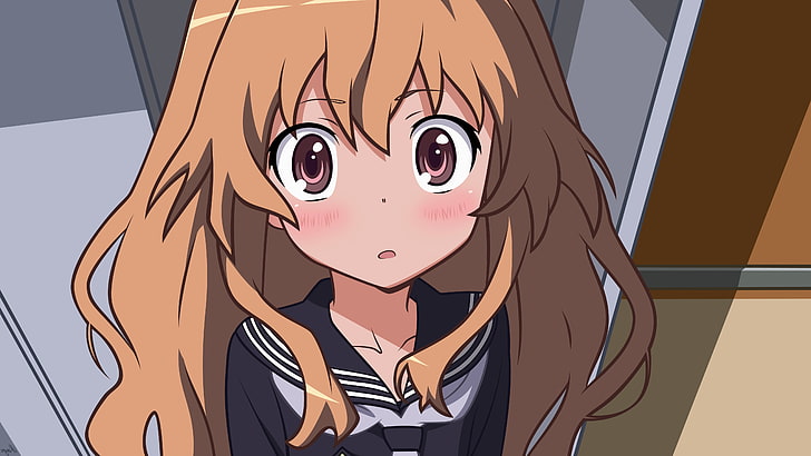 Aisaka Taiga Aisaka Taiga anime cutest