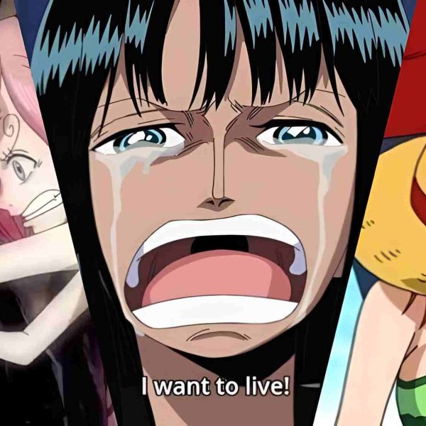 One Piece Backstories