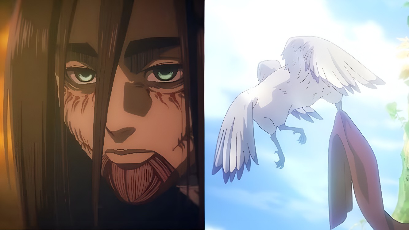 aot