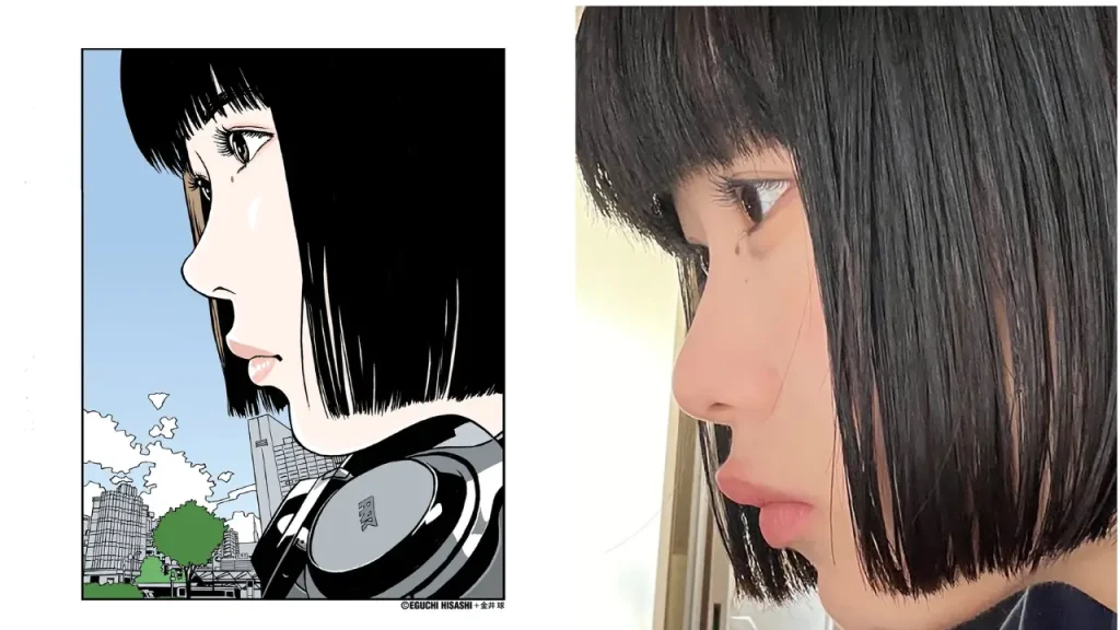 hisashi eguchi plaigiarism