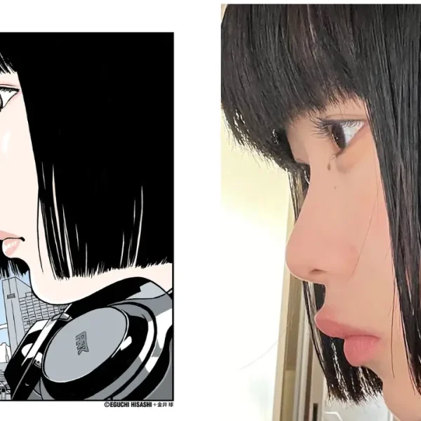 hisashi eguchi plaigiarism